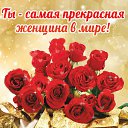 ���� �������, �������-���������, 51 ��� - ��������� 23 ������ 2015 � ������ �������� ��������