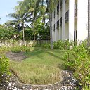    -  ,  -  4  2015    2014.  Ibis.  7-.