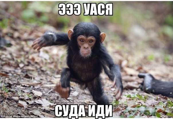   | , ,  - 5  2015  08:02