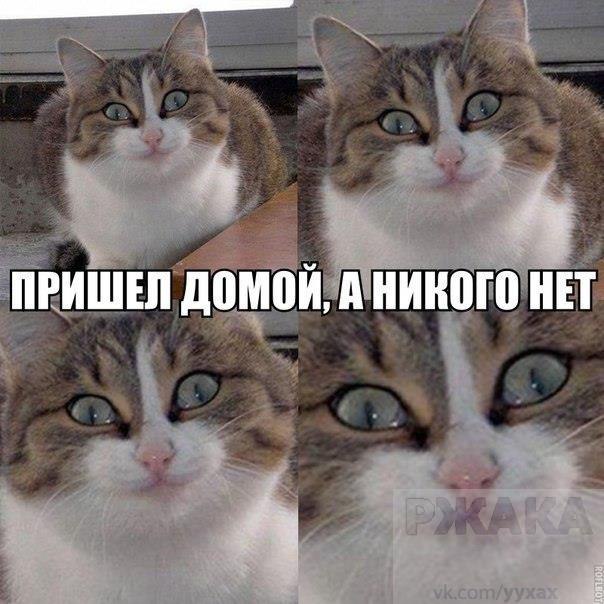     - 22  2015  02:03
