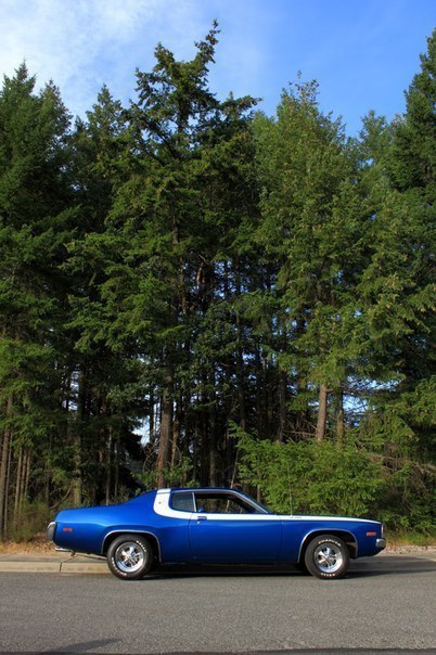 Plymouth Roadrunner (1973) - 3