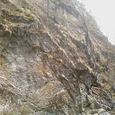 ���� Xylio, ���������, 54 ���� - ��������� 4 �������� 2015 � ������ ���� ����������