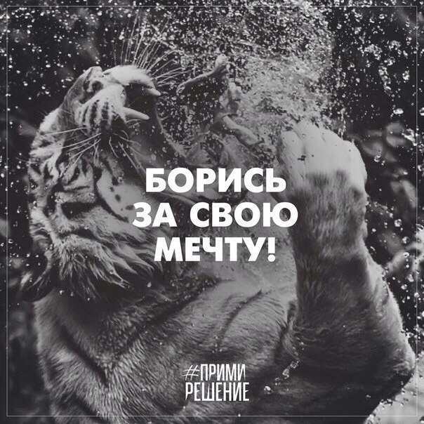    ! - 26  2015  11:20