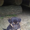 ���� ������, ����, 44 ���� - ��������� 21 ���� 2015 � ������ ������ ��������