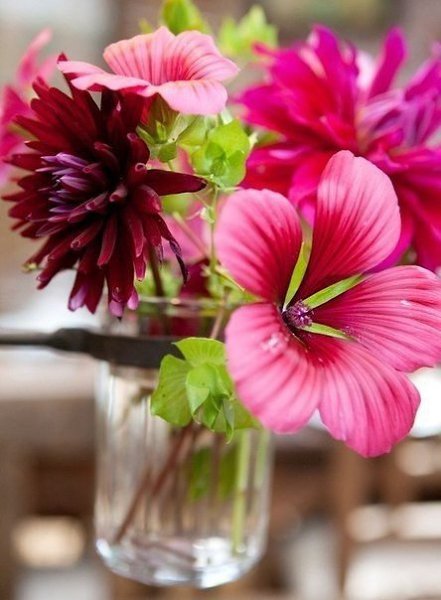 ||  ... || - 12  2015  15:29