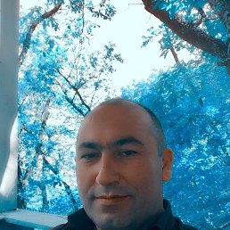 Tahir, ����, 53 ����