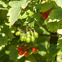 ���� ����, �����-���������, 57 ��� - ��������� 26 ������� 2015 � ������ ��������