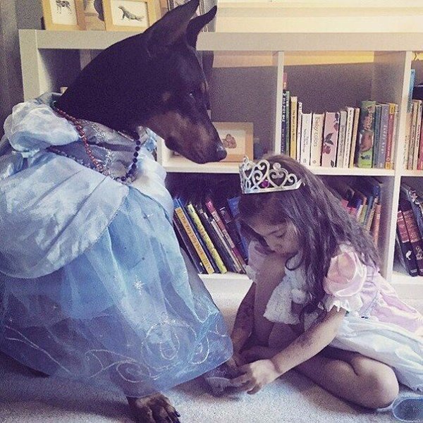 4-летняя Сиена и её четырёхлапый друг, доберман Будда - 4