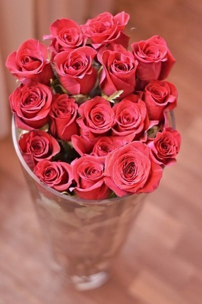   |  |  - 23  2015  12:25 - 4