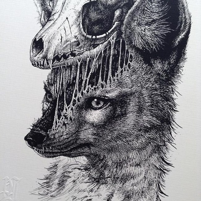   (Paul Jackson),    ,     ... - 5