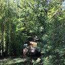  , , 38  -  10  2015    2015