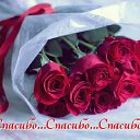 ���� �������, ������ - ��������� 19 ������� 2015 � ������ �������� ��������