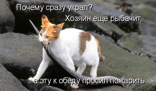       - 6  2015  08:03