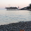  , , 60  -  6  2015   ,- 2015 &quot; &quot;