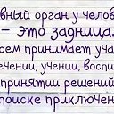 ���� �����, �����-���������, 40 ��� - ��������� 10 �������� 2015 � ������ ���� ����������