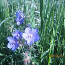 ���� ���������, �����������, 69 ��� - ��������� 20 ���� 2015 � ������ ����������� ����.������� ���.������������ �����, ��������������� ���.���� 2015�