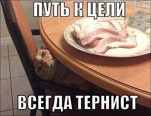 )))