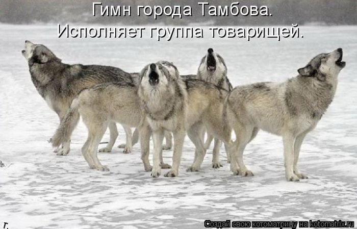  - 10  2015  16:50