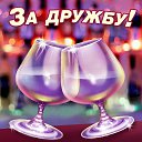 ���� ��������, �����-���������, 61 ��� - ��������� 8 ��� 2015 � ������ �������� ��������