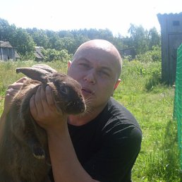 �����, ������������, 49 ���