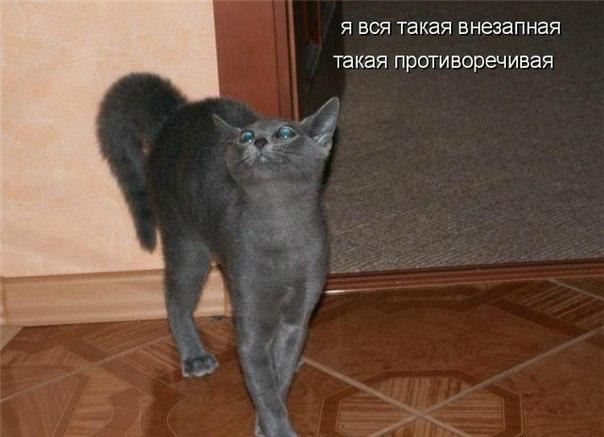  - 14  2015  19:05