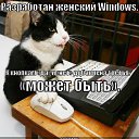 ���� ��������� ������������, ������ �������� - ��������� 26 ���� 2015 � ������ �������