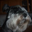 ���� Evgeny, �����-���������, 46 ��� - ��������� 14 ������� 2015