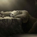 ���� ������, �������, 35 ��� - ��������� 7 ���� 2015 � ������ ������ ��������