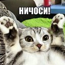 ���� Gala, ���� - ��������� 28 ���� 2015 � ������ ������ ��������