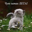 ���� ���������, �����������, 40 ��� - ��������� 7 ���� 2015 � ������ ���� ����������