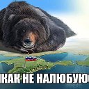 ���� �������, ����������� - ��������� 1 ������� 2015 � ������ ���� ����������