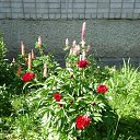 ���� �������, ������� - ��������� 14 ���� 2015 � ������ ���� ����������