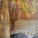 ���� ����, �����, 60 ��� - ��������� 9 ������� 2015 � ������ �������