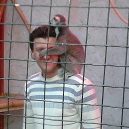 ���� ����, ������, 44 ���� - ��������� 22 �������� 2015