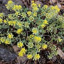 ���� ���������, ����������, 77 ��� - ��������� 2 ���� 2015 � ������ ���� ����������