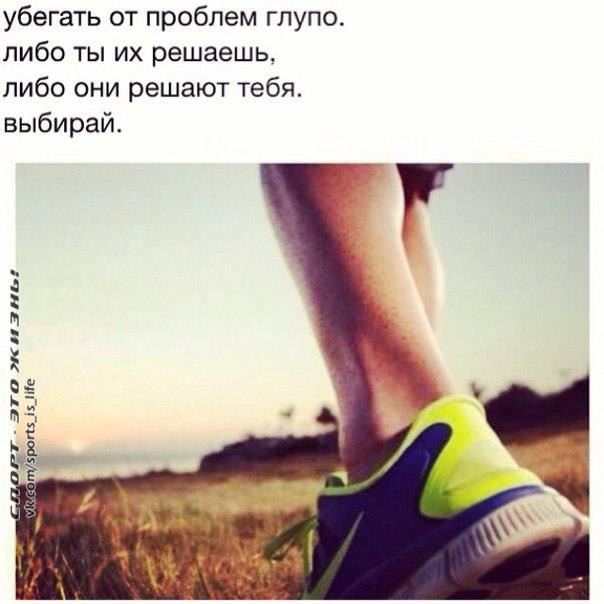  -   - 11  2015  09:08