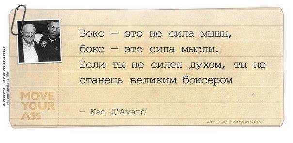  -   - 23  2015  13:46