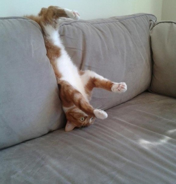 ���� � �������� ��������� - 3