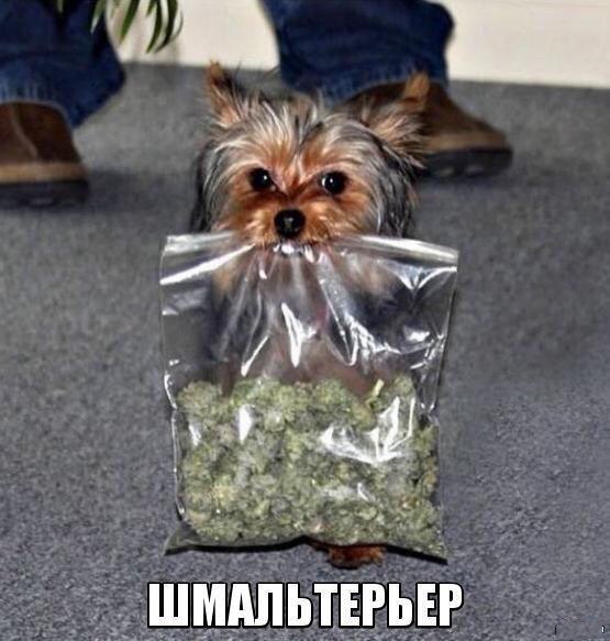   https://fotostrana.ru/away?to=/sl/KE2