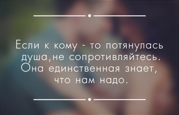   . . . - 28  2015  20:42