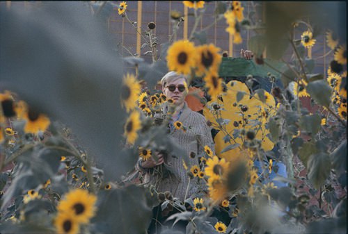  , 1964