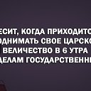 ���� �����, ������������, 47 ��� - ��������� 10 ������� 2015 � ������ ������ ��������