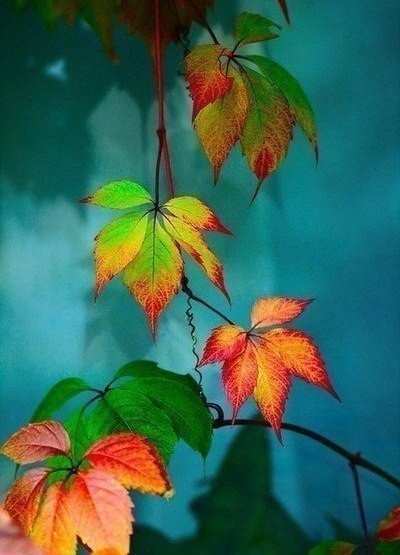     !    ,      ,   ... - 6