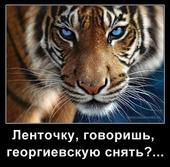   | , ,  - 26  2015  15:02