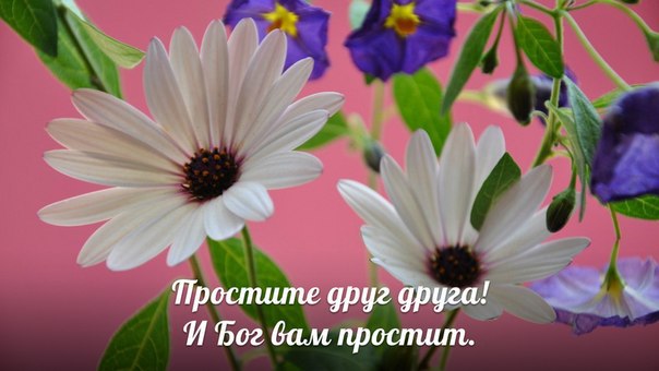      , -.    .         ...