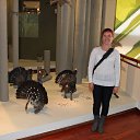 ���� �������, ������, 56 ��� - ��������� 12 ��� 2015 � ������ ���� ����������