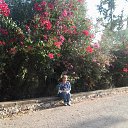 ���� Nadejda, ����-���� - ��������� 31 ��� 2015 � ������ ���� ����������