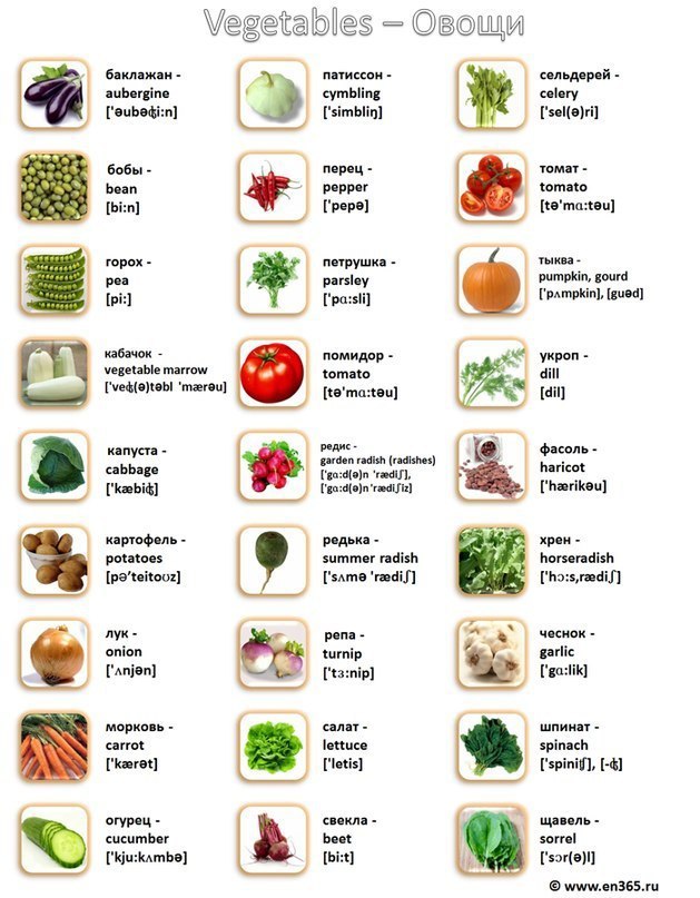 VISUAL CARDS.  -  -  -  - 7