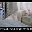  ,  -  22  2015    