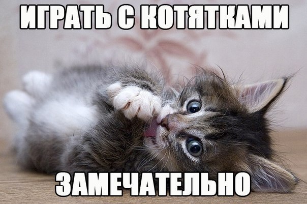 ������ - ��������� - 11 �������� 2015 � 06:21